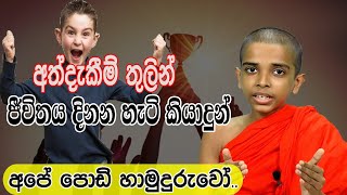 Thissamaharame Sumanadhamma Thero lඅත්දැකීම් තුලින් ජීවිතය දිනන හැටි කියාදුන්, අපේ පොඩි හාමුදුරුවෝ