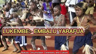 Lukembe Embalu Yarafua Bukusu Circumcision 2024 | Luhya Cultural Edition | Bukusu Traditions \u0026 Songs