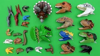 30 Lego Dinosaur Heads - Learn Dinosaur Names