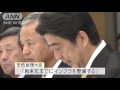 ドローンで宅配サービスを　安倍総理が規制緩和指示 15 11 06