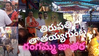 తిరుపతి తాతయ్యగుంట గంగమ్మ జాతర 2023 | Tirupati Ganga Jatara Today