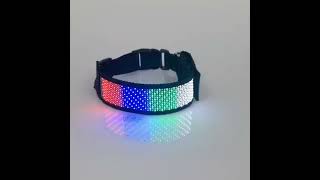 LED display pet collar