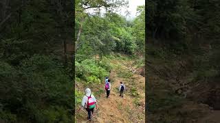 【土石流を通過】 #shorts 東広島市八本松　曽場ヶ城山　早朝登山