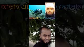 আল্লাহ এটা আমি কি দেখলাম আল্লাহ গো #islamic #shorts #shortsfeed #trending #foryou #viral #video