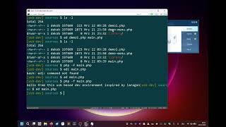 small PHP development environment with php 8.5, python, awk, perl