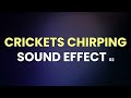 Crickets Chirping Sound Effect 02 - Best atmosphere - Summer, Germany, Suburbia - Testventure