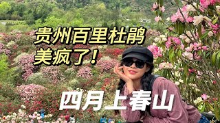 贵州人不骗中国人，百里杜鹃真的有百里！根本看不完啊！太美了