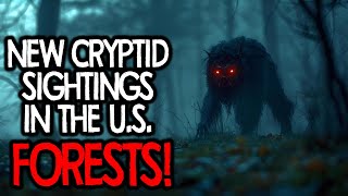 10 NEW Cryptid Sightings in the U.S. FORESTS!