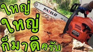 PATELO® CS5460 เลื่อยยนต? ปาเตโร่ จากอิตาลี โซ่ บาร์ 11.5” ของแท้ แน่นอน 👩🏻‍🔧 เจ้โหด จัดให้