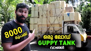 എട്ടായിരം രൂപക്ക് ഒരു ലോഡ് guppy tank വാങ്ങി Guppy tank purchasing