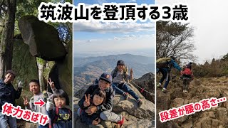 筑波山を登頂する3歳