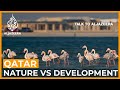 Qatar: Nature and development at a crossroads | Talk to Al Jazeera