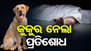 କୁକୁର ନେଲା ପ୍ରତିଶୋଧ  !  | Odisha Reporter