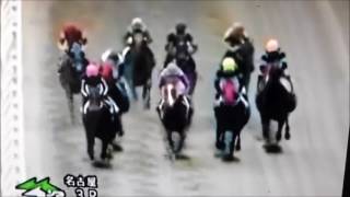 競馬で人生賭けた大勝負してみた。名古屋競馬編