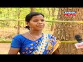 similipal girl gives jackfruit for president droupadi murmu