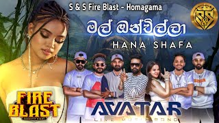 Mal onchilla | Hana Shafa with Avatar Music Band | S&S Fire Blast Homagama