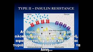 MICHAEL KLAPER MD - Τα λιπαρά προκαλούν διαβήτη (με υπότιτλους)