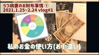 うつ病妻のお財布事情 ① 【主婦のお小遣い】