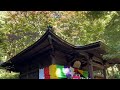 【愛知県 紅葉名所】豊橋のもみじ寺 普門寺2024年11月25日の紅葉状況！愛知県で遅くまで紅葉を楽しめます。