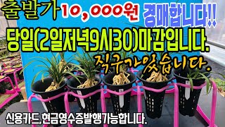 당일2일저녁9시30분마감입니다.문의010-8613-7231입니다.