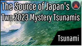 A Mystery Tsunami Just Struck Japan & We Finally Know What Caused It