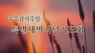 [서산성결교회] 추수감사주일 특별저녁기도회 2024년 11월 11일