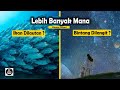 MANA YANG PALING BANYAK, IKAN DI LAUTAN ATAU BINTANG DI LANGIT ?