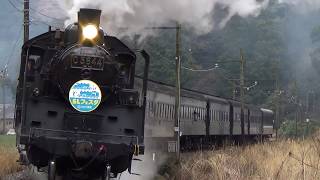 大井川鉄道　SL重連運転！C56 ＋ C11