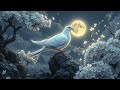 Holy Spirit Clearing All Dark Energy And Evil, Bring Peace And Blessings Throughout Your Life