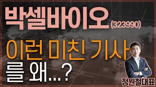 박셀바이오 (323990) - 이런 미친 기사를 왜...?