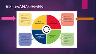 Risk Management_DBAC115_De Luna