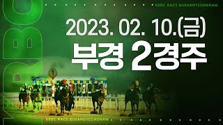 (부산)'23.2.10.2R 골든웨이브 선행, 상대가 없다! 해피태양, 서귀플래시 2, 3위 선전!