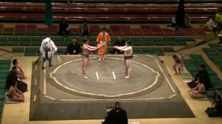 今日の服部桜／服部桜-松岡/2017.5.16/hattorizakura-matsuoka/day3 #sumo