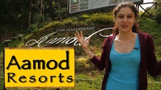 Aamod Resorts|| Shoghi || Shimla