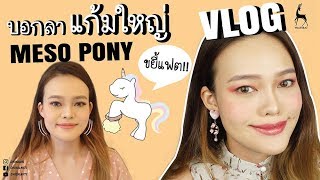 VLOG  บอกลาแก้มใหญ่ด้วย MESO PONY ขยี้สลายแฟต \