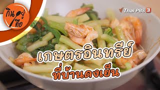 เกษตรอินทรีย์ที่บ้านดงเย็น : กินอยู่คือ [CC]