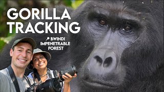 Uganda Safari VLOG - Tracking Mountain Gorillas in Bwindi, Our Trekking Experience