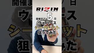 【RIZIN】格闘技素人ウェハース開封カウントダウン【あと5日】