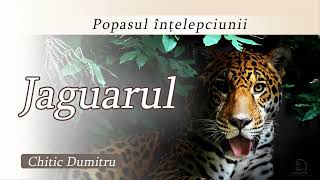 Jaguarul | Popasul înțelepciunii