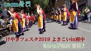 [ビジュアル賞] team清門 - 清天 [けやきフェスタ2019 よさこいin府中]