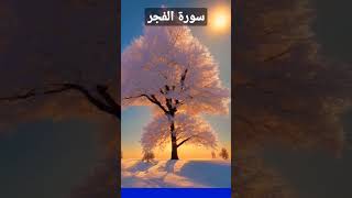 Surah Al-Fajr. Quran Recitation Surah Al-Fajr. سورۃالفجر  Urdu Translation #n7islami