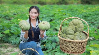 Do you grow pumpkin in your place? Collect pumpkin and flower for cooking recipe / Eat Yummy Pumpkin