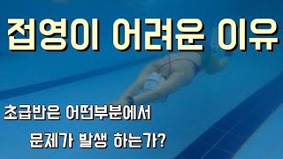 접영이 늘지 않는 사람들에게 필요한 영상(접영분석)