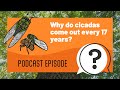 But Why Kids | Why do cicadas come out every 17 years? | Full Podcast Episode