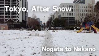 Tokyo after the snow, From Nogata to Nakano Station 【雪の後の東京】中野区野方駅から中野駅まで散歩 [Japan]