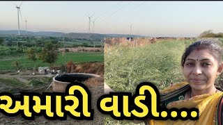 આપડી વાડીએ #farming #hiteshkiranvloge