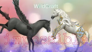 wildcraft court métrage //impossible