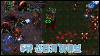 [ZvP] 5뮤탈 선러커 하이브 