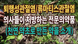 #퇴행성관절염과 류마티스관절염 치료에 전문의약품으로 개발된 약초를 소개합니다[약초방송]