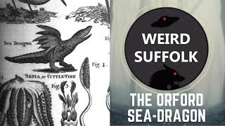 Weird Suffolk: The Orford sea-dragon